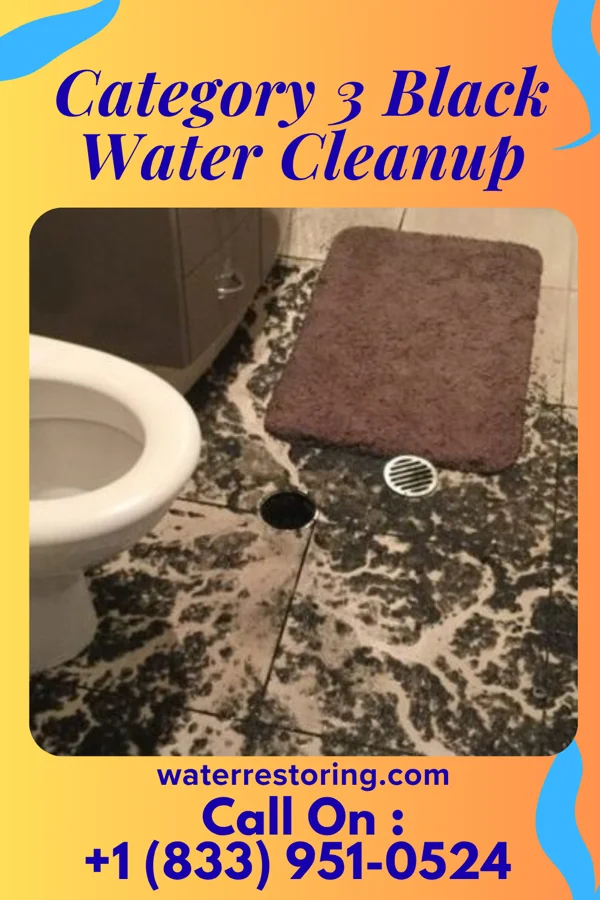 Category 3 Black Water Cleanup in Wollochet, WA