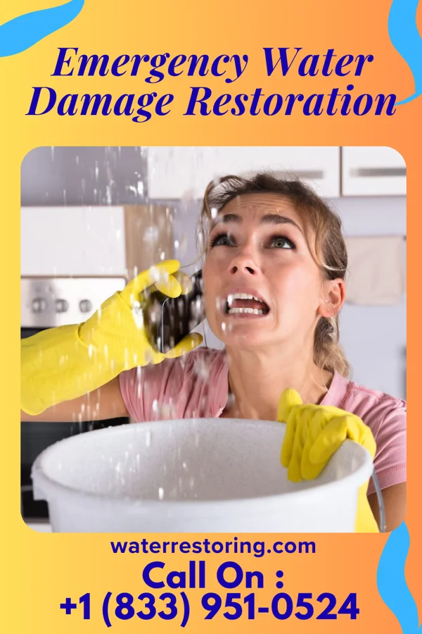 Emergency Water Damage Restoration in Wollochet, WA